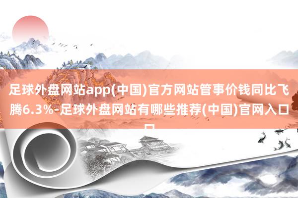 足球外盘网站app(中国)官方网站管事价钱同比飞腾6.3%-足球外盘网站有哪些推荐(中国)官网入口