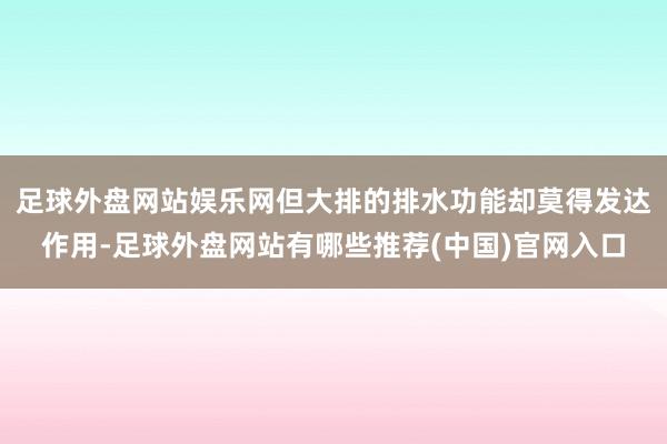 足球外盘网站娱乐网但大排的排水功能却莫得发达作用-足球外盘网站有哪些推荐(中国)官网入口