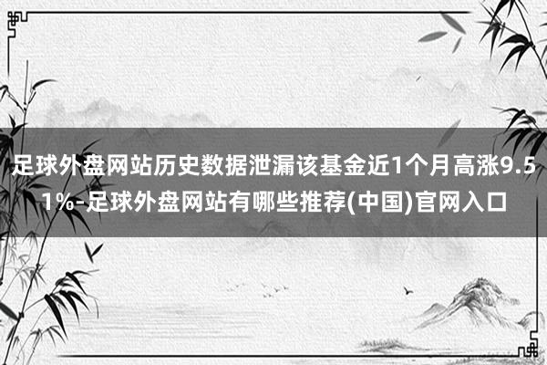 足球外盘网站历史数据泄漏该基金近1个月高涨9.51%-足球外盘网站有哪些推荐(中国)官网入口