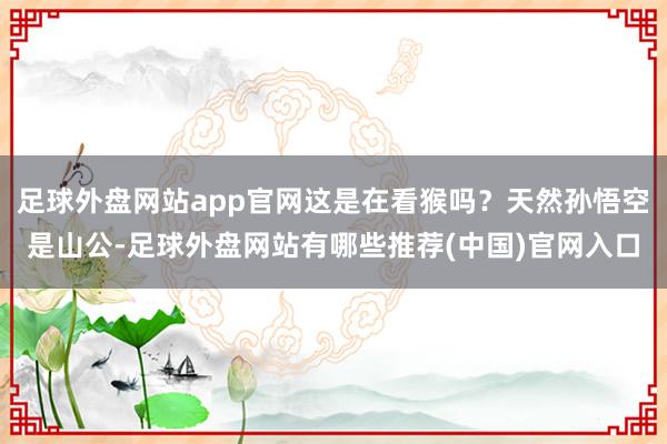 足球外盘网站app官网这是在看猴吗？天然孙悟空是山公-足球外盘网站有哪些推荐(中国)官网入口