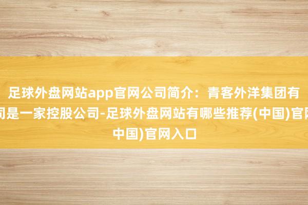 足球外盘网站app官网公司简介：青客外洋集团有限公司是一家控股公司-足球外盘网站有哪些推荐(中国)官网入口