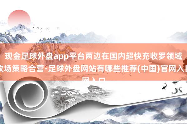 现金足球外盘app平台两边在国内超快充收罗领域收场策略合营-足球外盘网站有哪些推荐(中国)官网入口