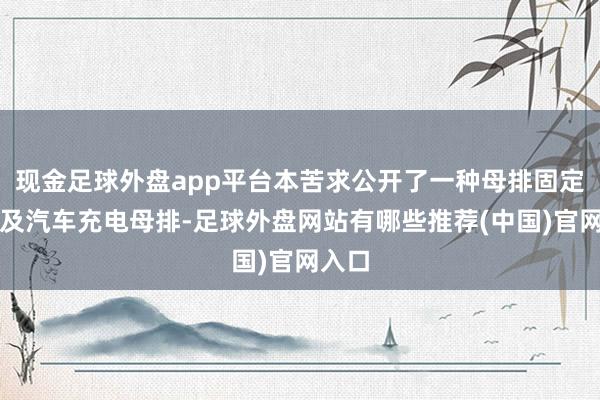 现金足球外盘app平台本苦求公开了一种母排固定安装及汽车充电母排-足球外盘网站有哪些推荐(中国)官网入口