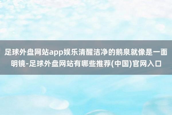 足球外盘网站app娱乐清醒洁净的鹅泉就像是一面明镜-足球外盘网站有哪些推荐(中国)官网入口