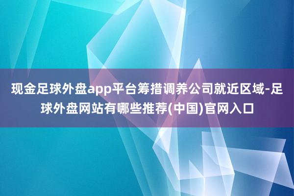 现金足球外盘app平台筹措调养公司就近区域-足球外盘网站有哪些推荐(中国)官网入口