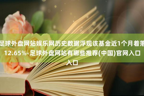 足球外盘网站娱乐网历史数据浮现该基金近1个月着落12.65%-足球外盘网站有哪些推荐(中国)官网入口